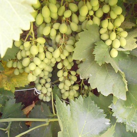 Pinos Puente Alojamiento Rural Torre Hueca酒店 外观 照片