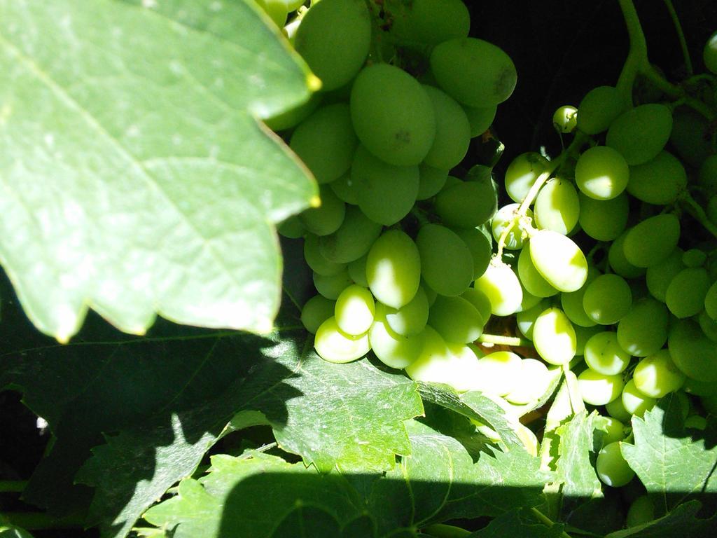Pinos Puente Alojamiento Rural Torre Hueca酒店 客房 照片