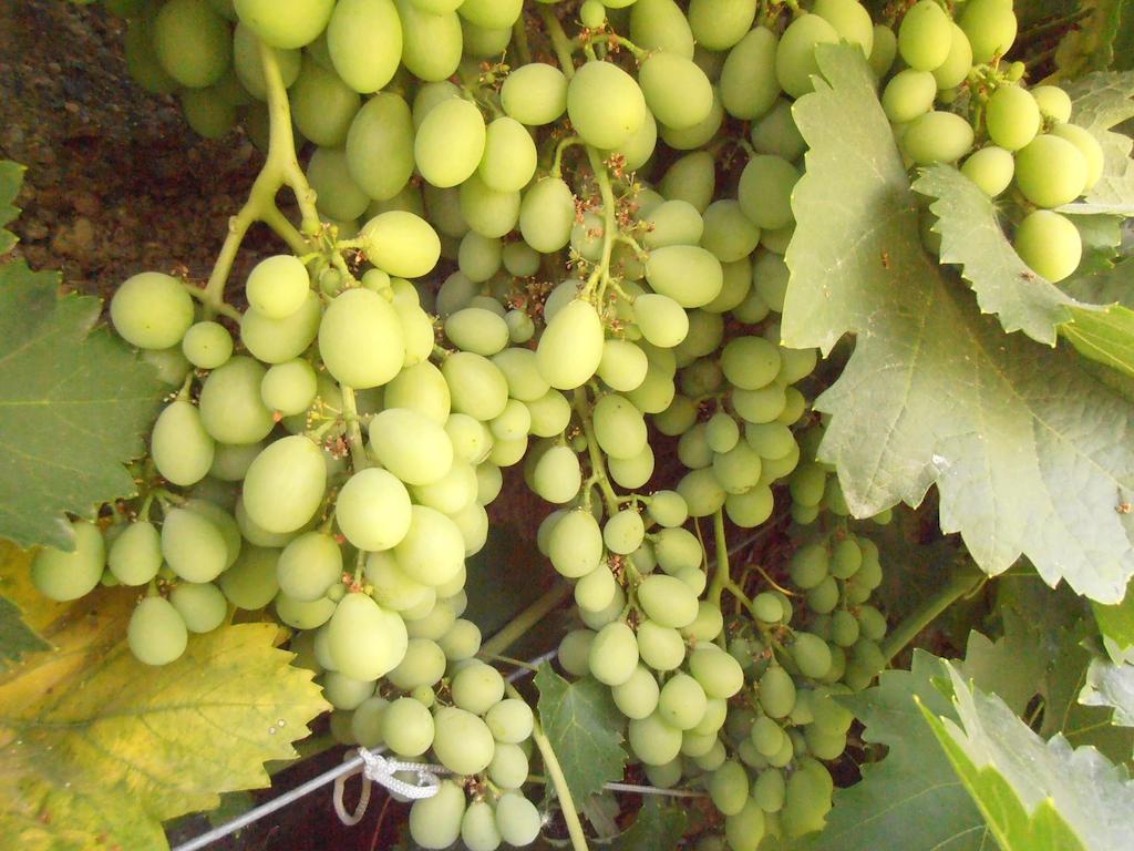 Pinos Puente Alojamiento Rural Torre Hueca酒店 客房 照片