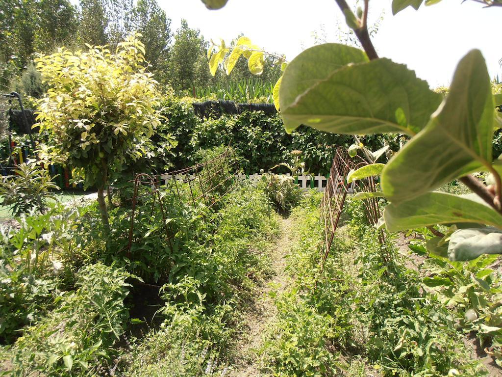 Pinos Puente Alojamiento Rural Torre Hueca酒店 客房 照片