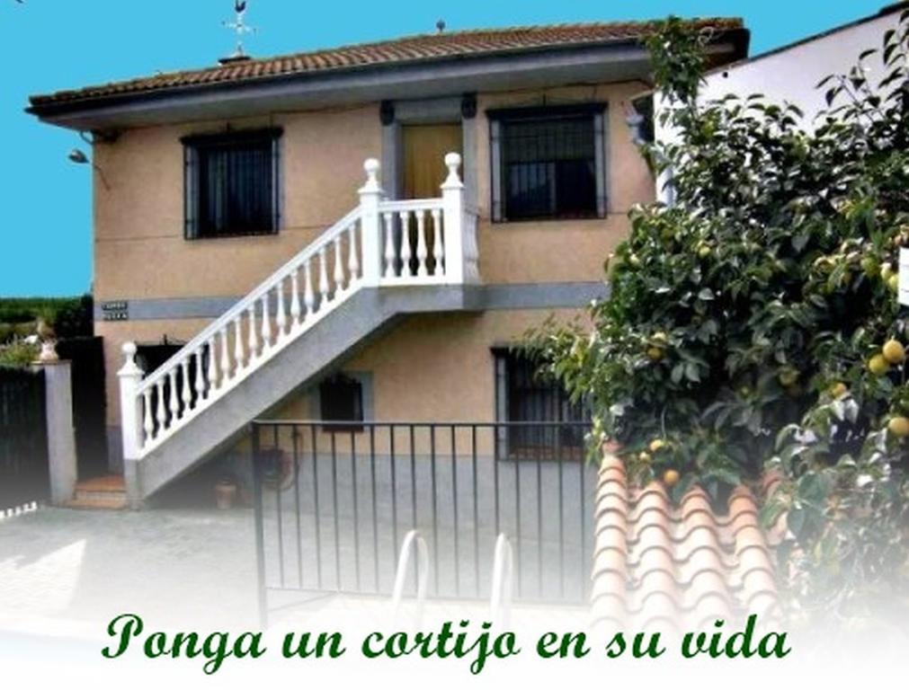 Pinos Puente Alojamiento Rural Torre Hueca酒店 外观 照片